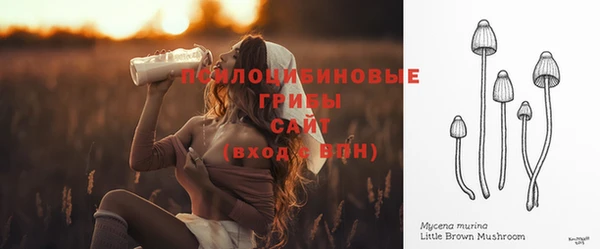 герыч Алексин