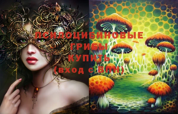 герыч Абаза
