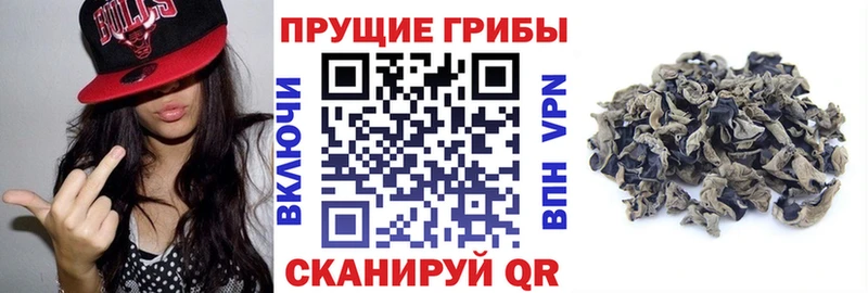 Галлюциногенные грибы прущие грибы  купить закладку  Чкаловск 